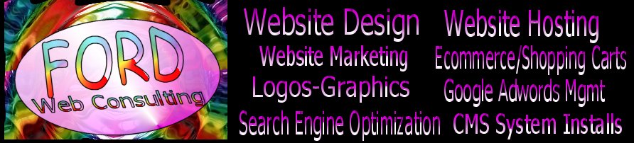 Orlando Website Design | Orlando SEO-google